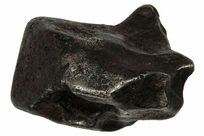 Fusion Crusted Sikhote-Alin Iron Meteorite ( g) - Russia #334537